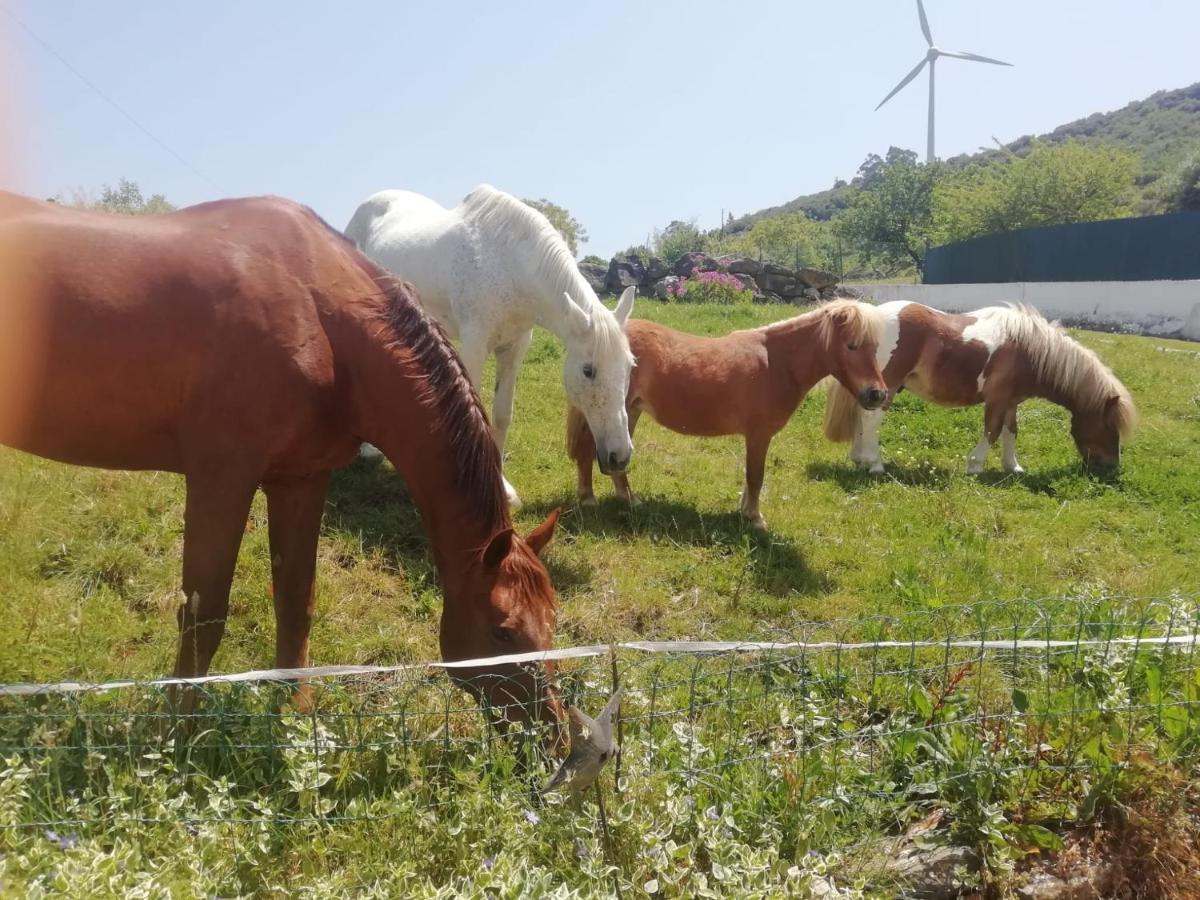 Casinha Da Lareira - Quintinha Dos Cavalos- Arruda Dos Vinhos Extérieur photo