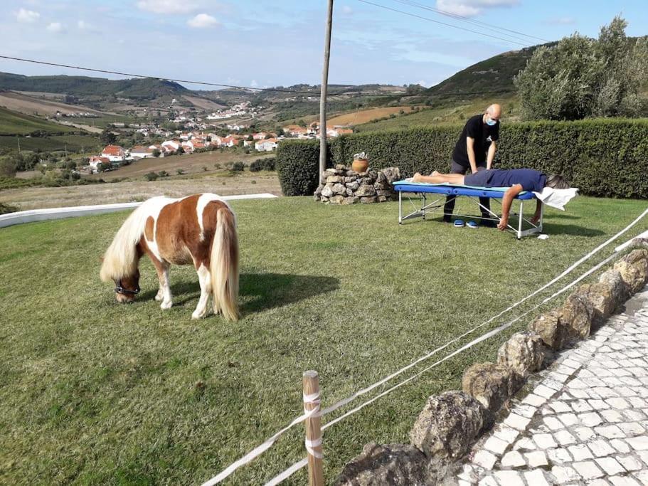 Casinha Da Lareira - Quintinha Dos Cavalos- Arruda Dos Vinhos Extérieur photo